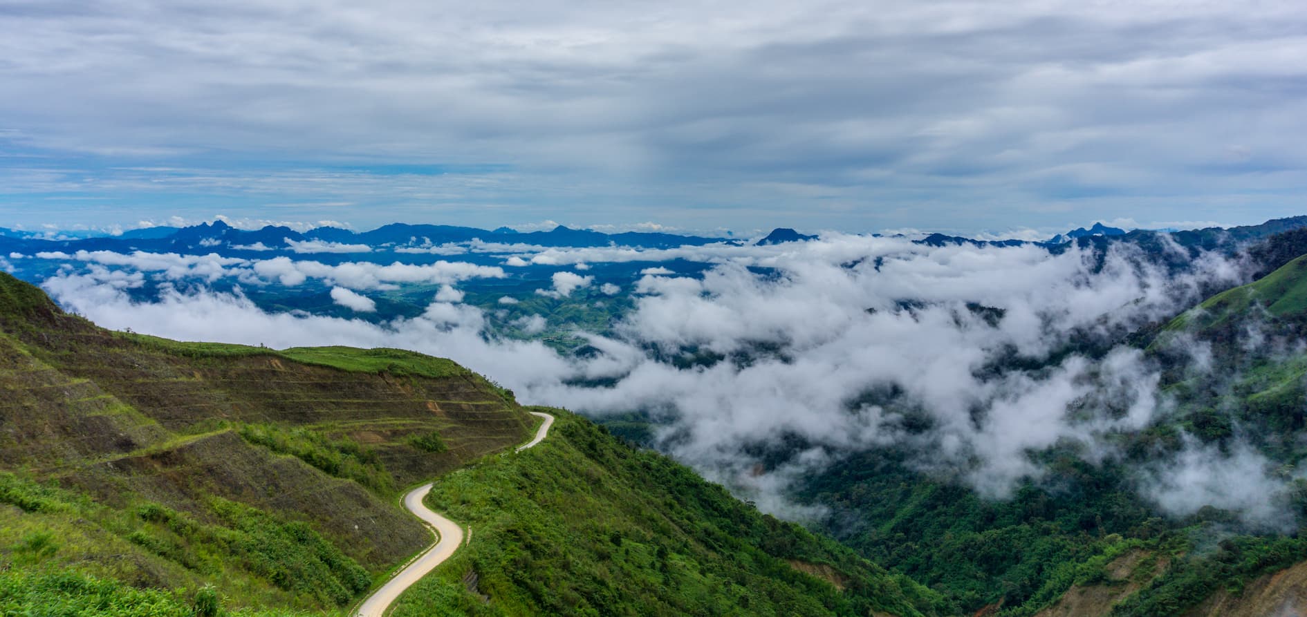 Laos, tierra de 24 nuevas especies naturales